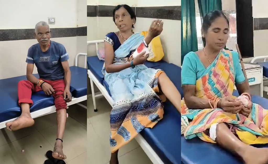 Balod News: डौंडी लोहारा में आवारा कुत्तों का आतंक, एक ही दिन में 13 लोगों को काटा; अस्पताल में इलाज जारी 2 image